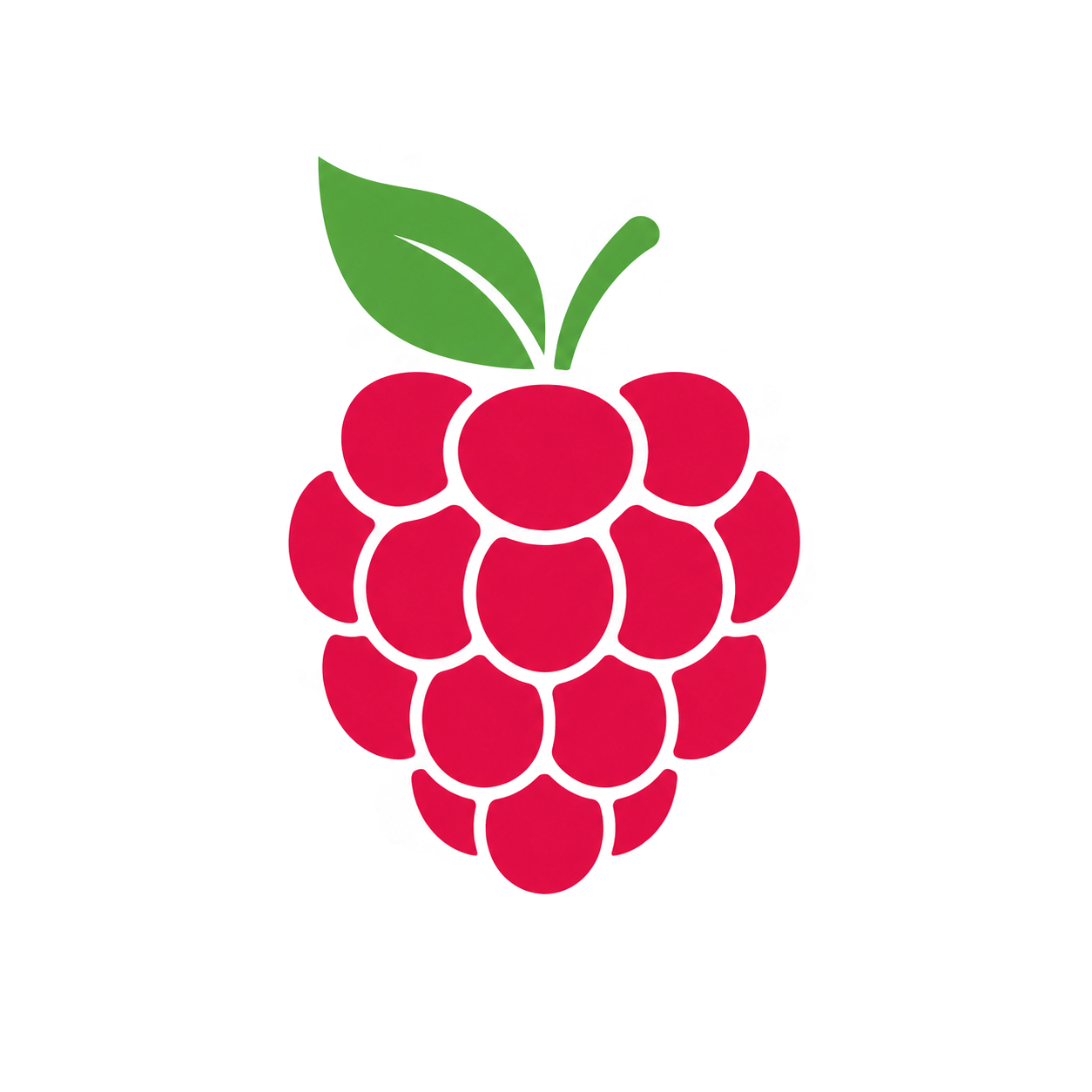 Иконка Berry CMS