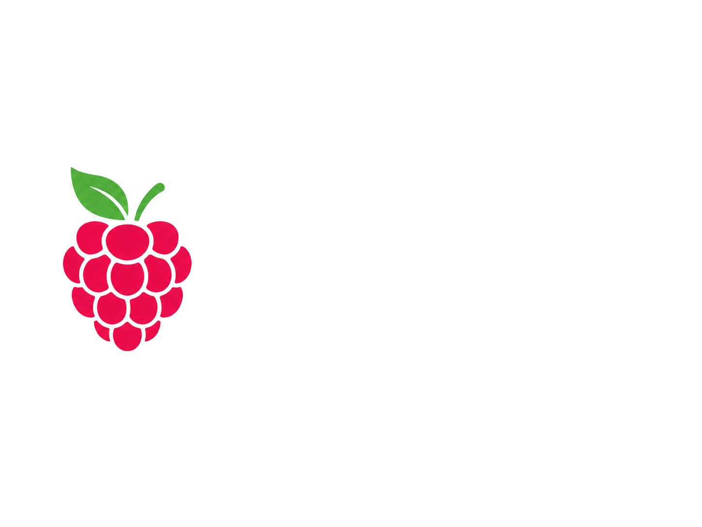 Логотип Berry CMS на темном фоне