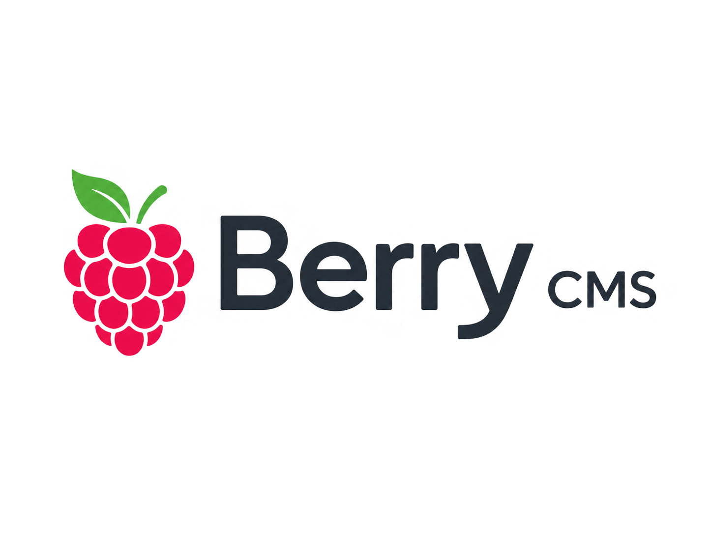 Официальный логотип Berry CMS